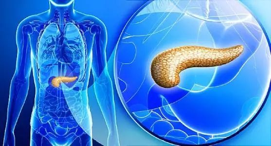 新研究揭示胰腺癌的源起、转移以及如何提高疗效