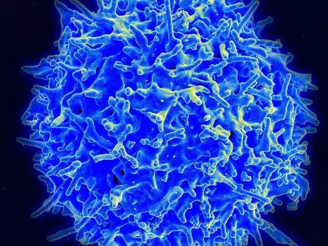 Science子刊：深挖“双面蛋白”沦为肿瘤免疫逃逸帮凶的真相