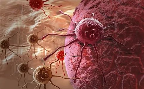 《Nature》子刊：地毯式搜索、精准辨认，免疫新疗法让所有癌细胞无所遁形！