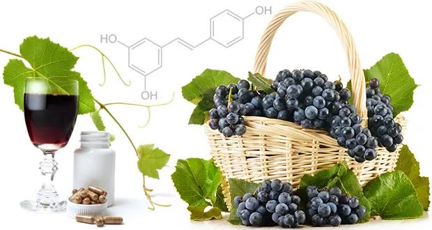 《Blood》重磅：葡萄中提取的这种天然化合物，在干细胞基因治疗中大放异彩！