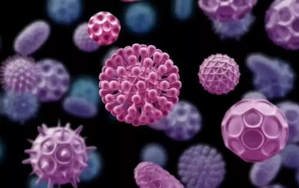 【Nature重磅】HPV主动免疫助力预防皮肤癌！