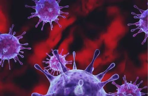 《科学转化医学》：轮状病毒疫苗助力儿童肿瘤告别免疫抑制！