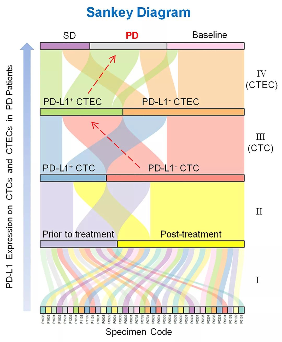 PDL1+CTEC及CTC在肺癌NSCLC中的