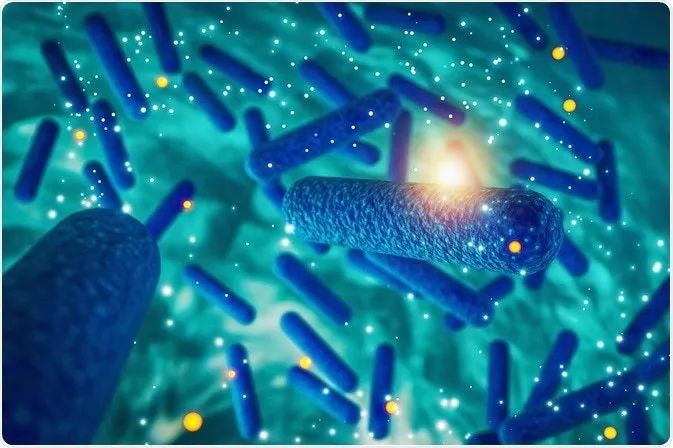 《Cell》子刊：抗生素使用后如何快速恢复肠道菌群？