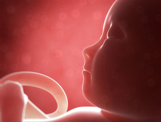 北医三院：世界首例Malbac胚胎全基因组测序试管婴儿诞生