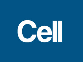 《Cell》：维生素D或可破解肿瘤耐药难题