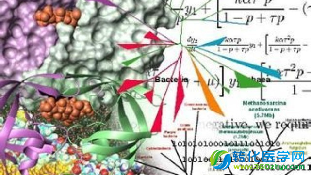 如何成为顶级生物信息学家？