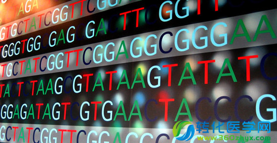 三代基因测序：组装算法和软件研发获突破