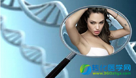 【汇总】国内基因体检（DTC）项目
