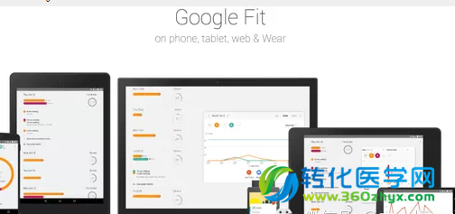 谷歌正式推出健康管理Google Fit 挑战苹果