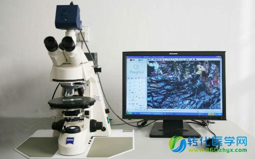 Biotechniques：最受欢迎的显微镜论文