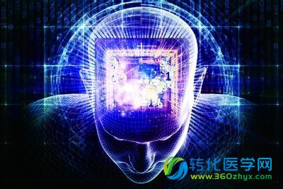 科学家计划上载自己的大脑，在虚拟世界里永生