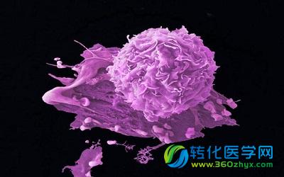 南京大学Nature子刊开发癌症诊断新技术