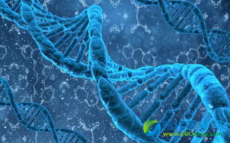 基于PCR的遗传疾病风险检测新方法