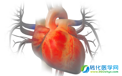 新突破：科学家找到扩张型心肌病基因源头