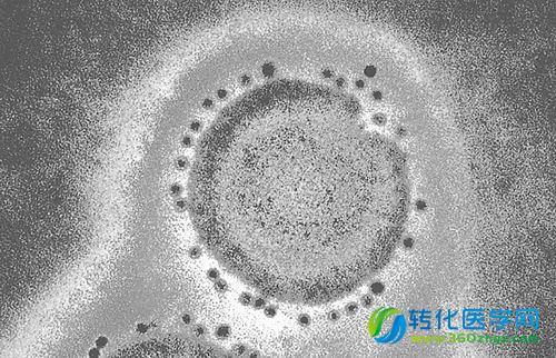 我国流行病学调查显示：60％丙肝患者不知自己患病