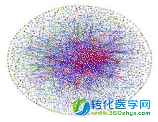 Nature子刊：新型工具有助揭示多种疾病发生的遗传根源