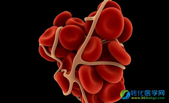 注射型酶剂能助伤口止血——每年可拯救上千生命