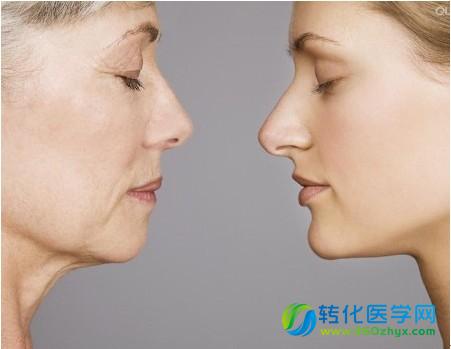 Cell Res：衰老，从嘴和鼻子之间被看穿