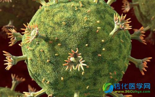 Nature：科学家发明对抗HIV新利器——广泛中和抗体