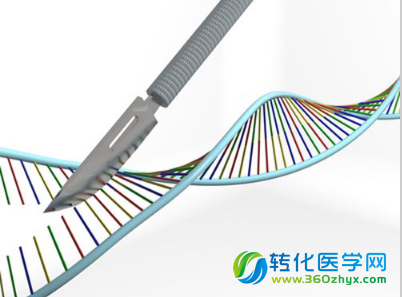Science：科学家阐明III型CRISPR/Cas系统靶向作用RNA分子的特殊机制
