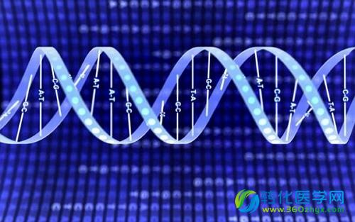 Nature Methods：两轮捕获+双重测序 成就史上最精准的测序！