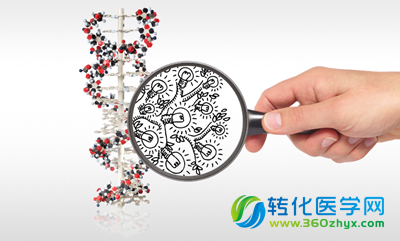 外显子组测序在孟德尔遗传疾病分子诊断中的应用