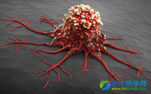 Science：要想不留疤，搞定这种细胞