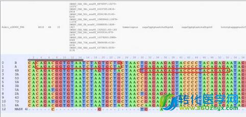 Bioinformatics：新型的在线生物信息学工具可以有效对多种基因组进行分析