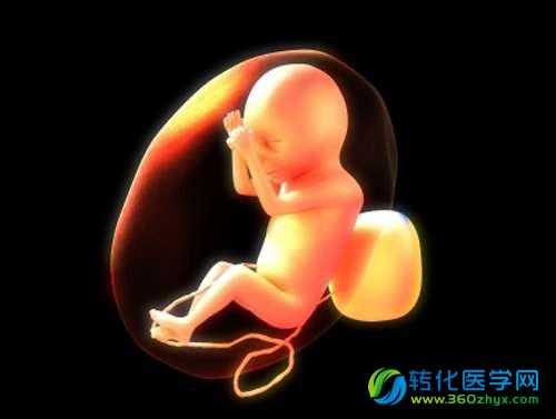 中国科学家改变人类胚胎基因 能“设计”婴儿？