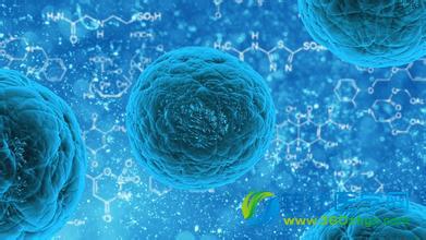 Science揭开细胞分裂的秘密