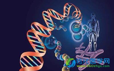 指纹识别：分子法医学的过去、现在和未来