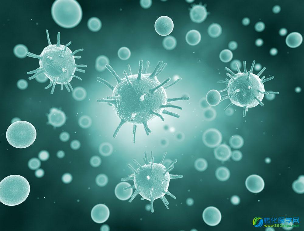 PNAS：人类的第三种独特“指纹”