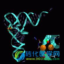 世界首张人类全面分泌miRNA组图谱