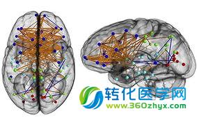 女性生的孩子越多 晚年患痴呆风险越大？