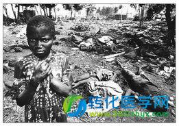 人工智能可准确预测动物传染病暴发 -美国中西部及中亚面临疾病高发风险
