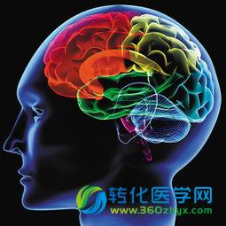 Nature惊人发现改写免疫教科书