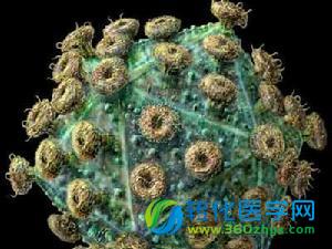 Cell发现守望HIV的哨兵