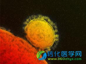 Nature热点：韩国MERS疫情对我们有多大威胁？