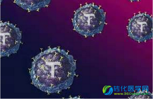郑颂国和李斌联合课题组发现调节性T细胞功能调控新机制