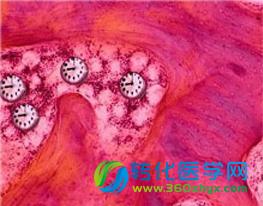 干细胞大牛Cell发表提高造血干细胞移植效率的新方法