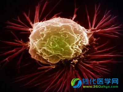 同济大学王启刚教授团队取得多功能纳米生物探针研究重要进展