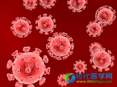 昆明动物所等在中缅边境发现最复杂HIV-1重组病毒株