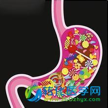 人类肠道内的益生菌