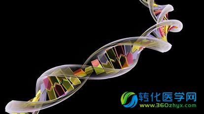 CRISPR基因编辑技术会不会威胁人类自身？科学家说的不算数！