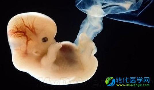 中国修改人类胚胎DNA引热议：PGD带领被设计婴儿