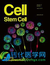 两篇中国学者文章入选Cell Stem Cell最佳论文