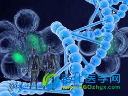 国际人类基因变异组项目设立中国区将建立20种疾病数据库
