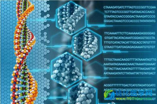 Nature发布比较基因组学研究重要发现