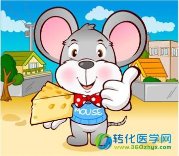 老鼠会梦到想去的地方